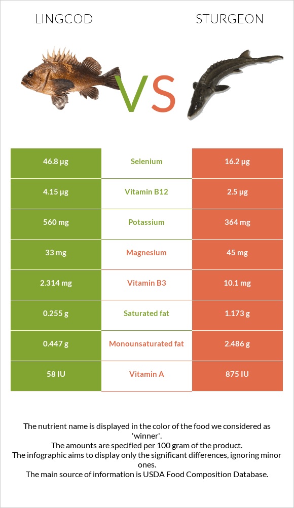 Lingcod vs Sturgeon infographic