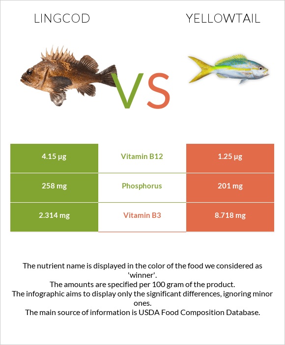 Lingcod vs Yellowtail infographic