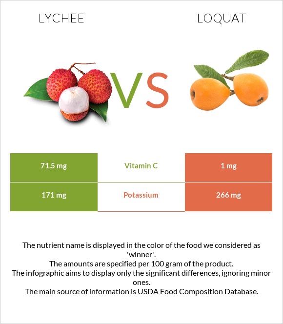 Lychee vs Loquat infographic