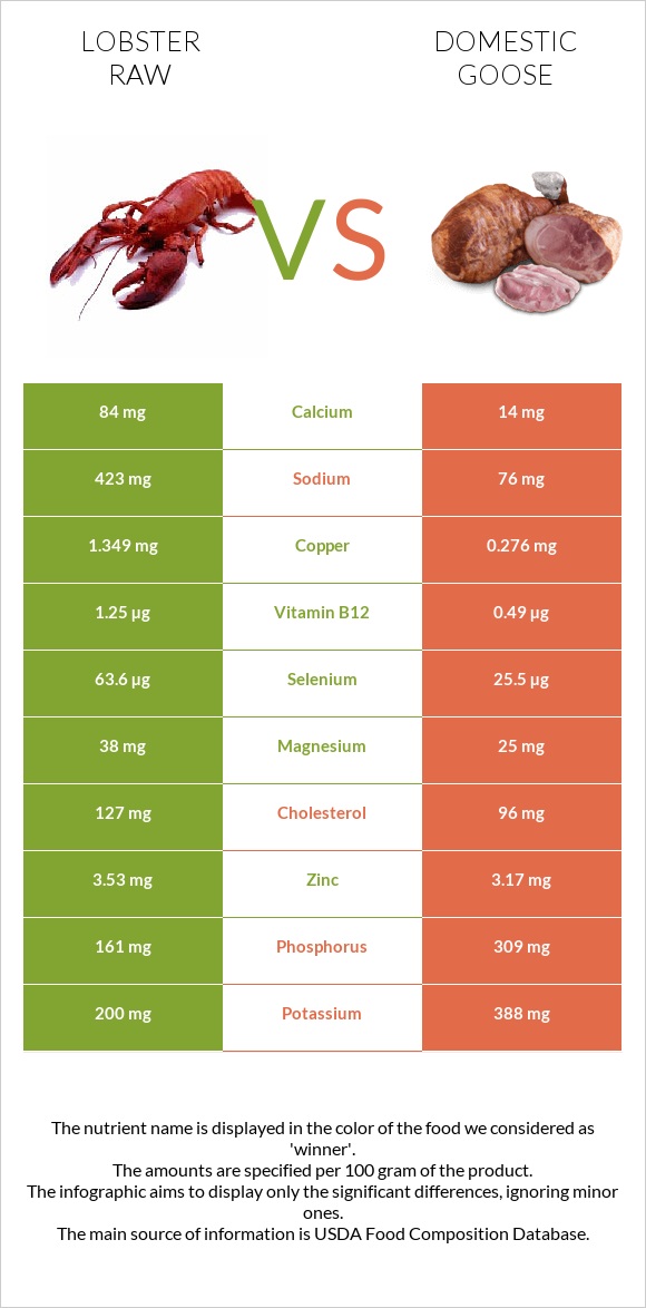 Lobster Raw vs Domestic goose infographic