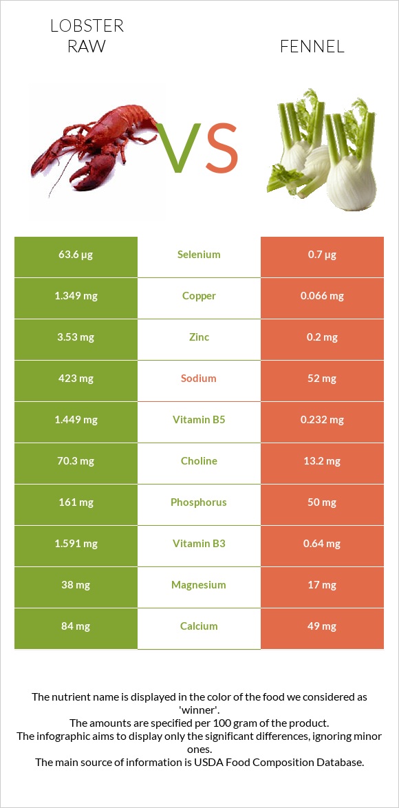 Lobster Raw vs Fennel infographic