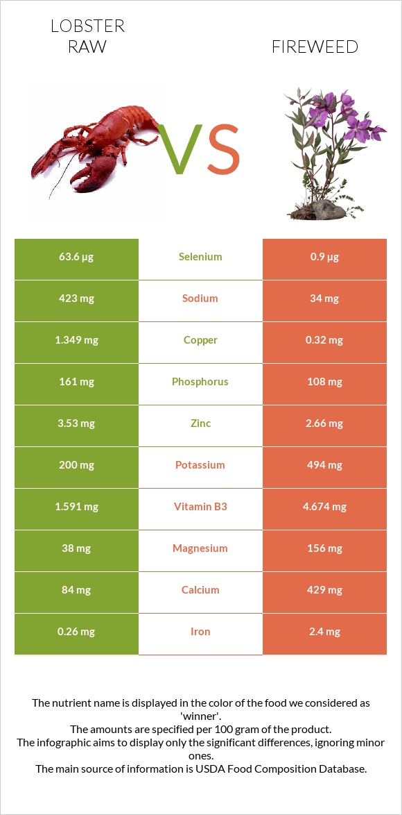 Lobster Raw vs Fireweed infographic