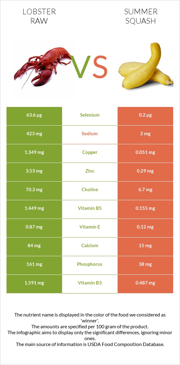 Lobster Raw vs Summer squash infographic