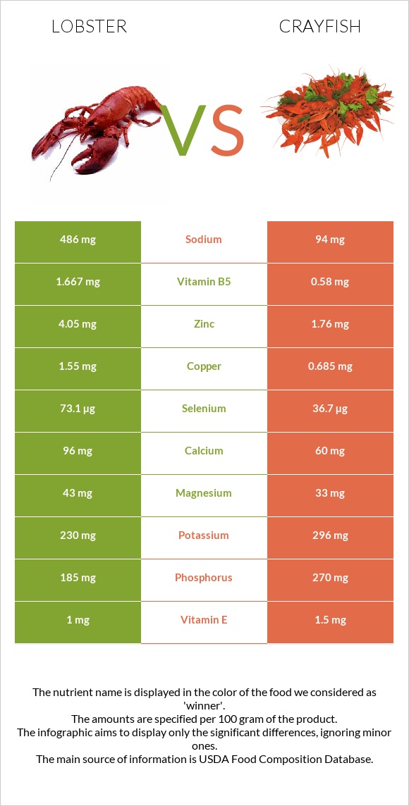 Lobster vs Crayfish infographic