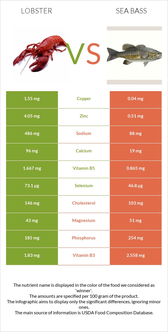 Lobster vs Sea bass infographic