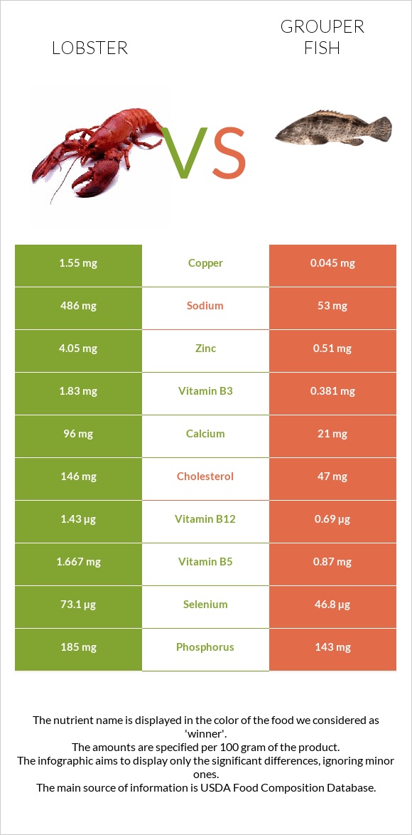 Lobster vs Grouper fish infographic