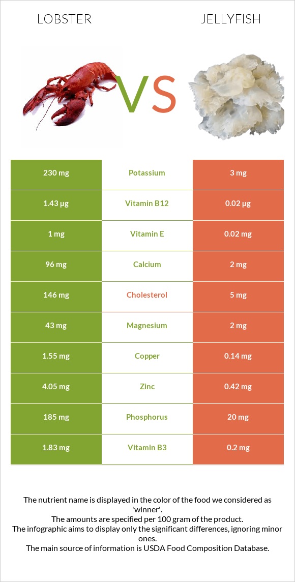 Lobster vs Jellyfish infographic