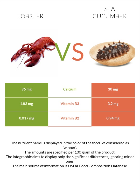 Օմարներ vs Sea cucumber infographic