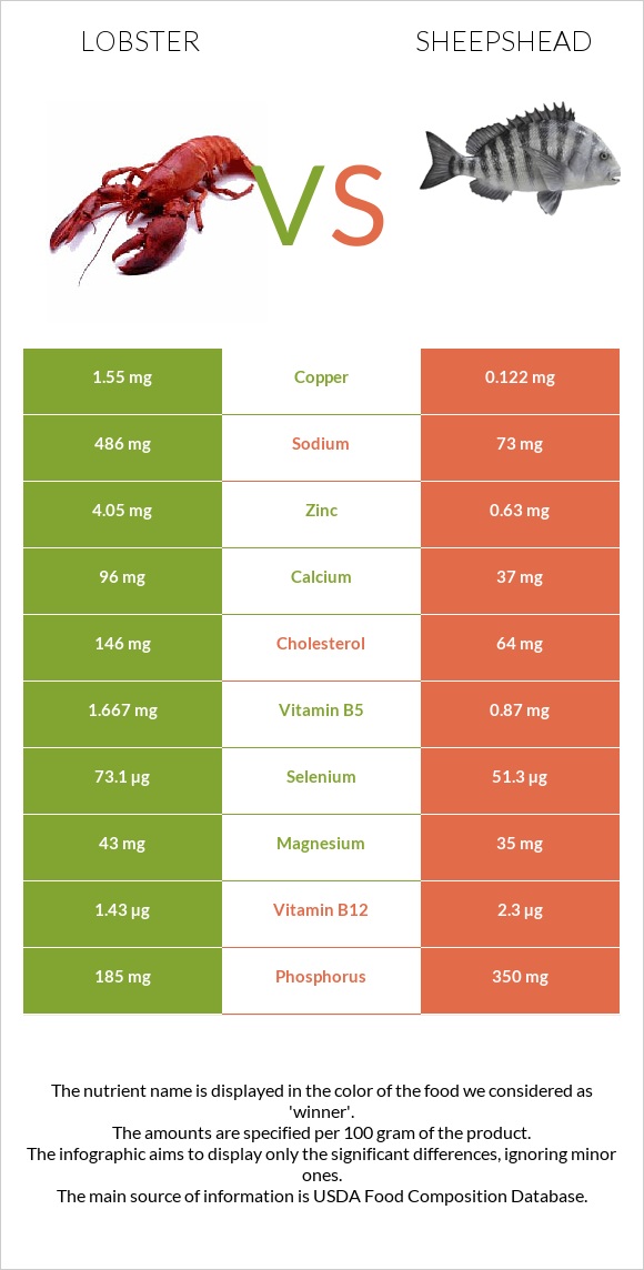 Օմարներ vs Sheepshead infographic