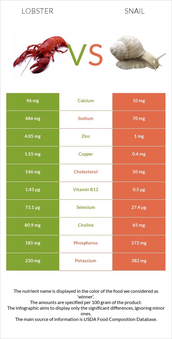 Օմարներ vs Խխունջ infographic