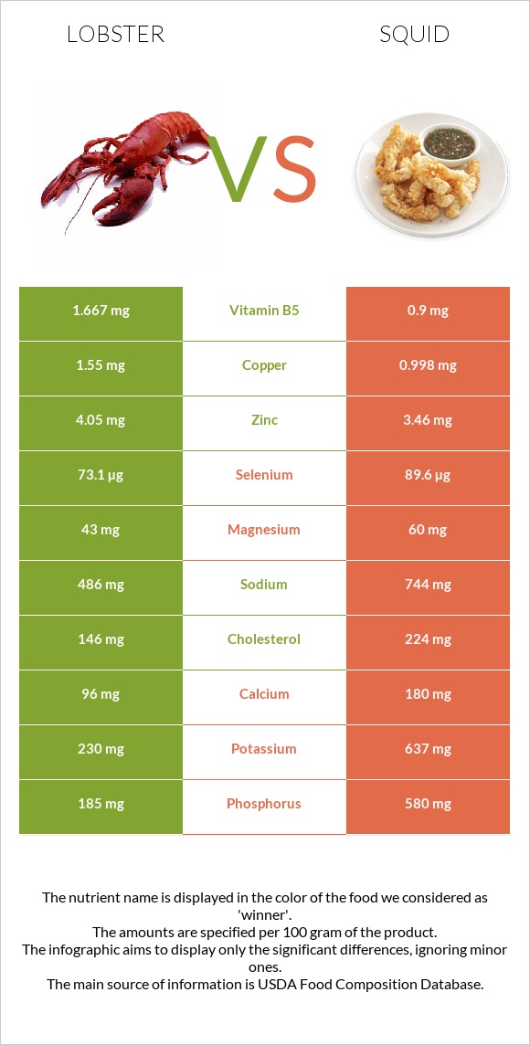 Օմարներ vs Տապակած կաղամար infographic