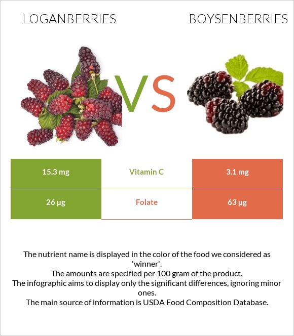 Loganberries vs Boysenberries infographic