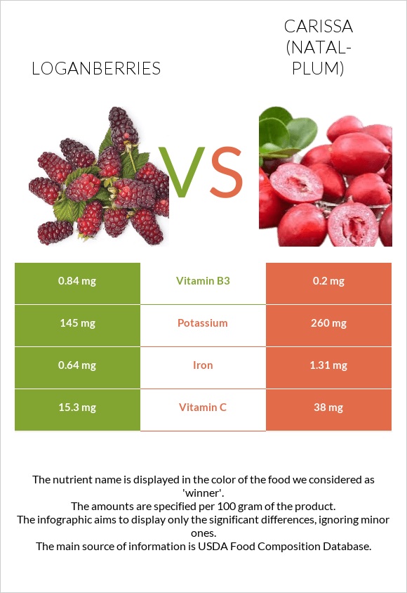 Loganberries vs Carissa (natal-plum) infographic