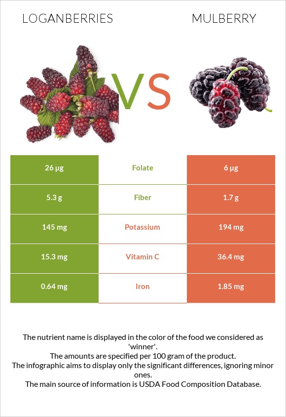 Loganberries vs Mulberry infographic