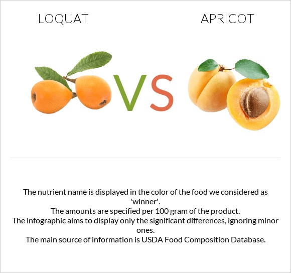 Loquat vs Ծիրան infographic