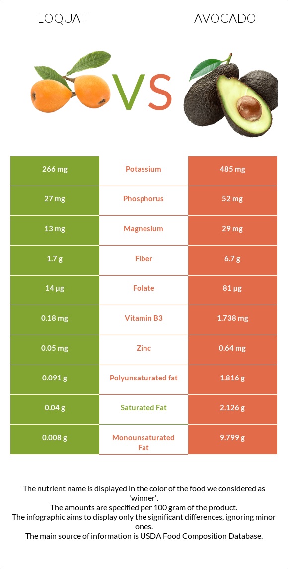 Loquat vs Avocado infographic