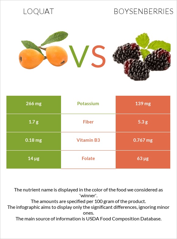 Loquat vs Boysenberries infographic