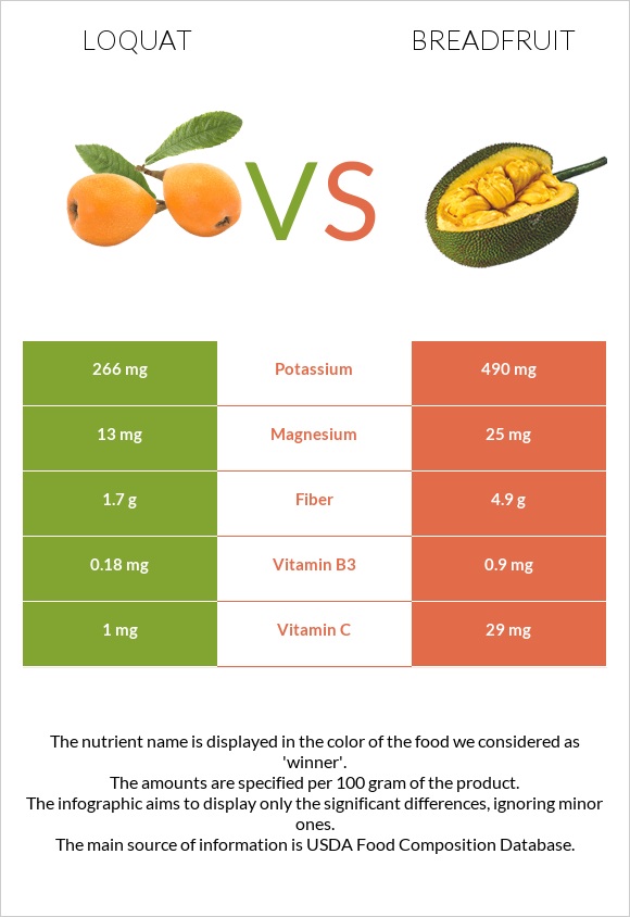 Loquat vs Breadfruit infographic