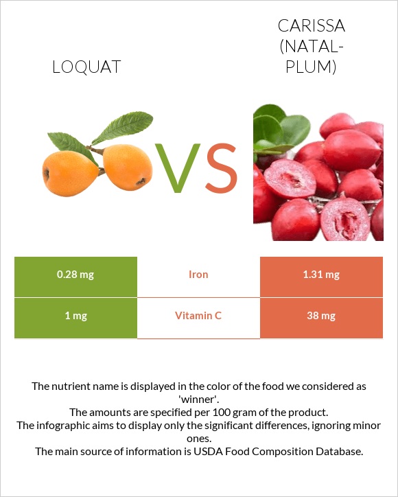 Loquat vs Carissa (natal-plum) infographic