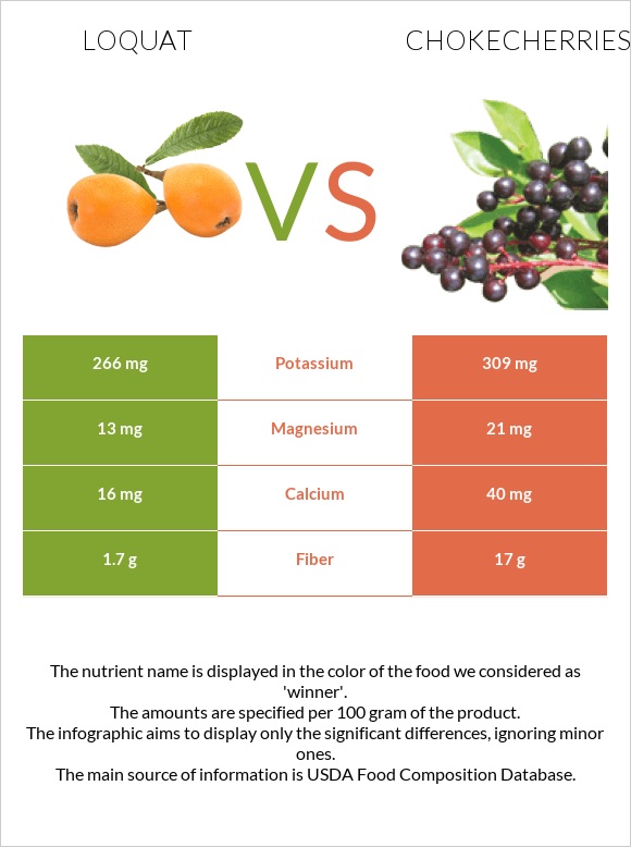 Loquat vs Chokecherries infographic