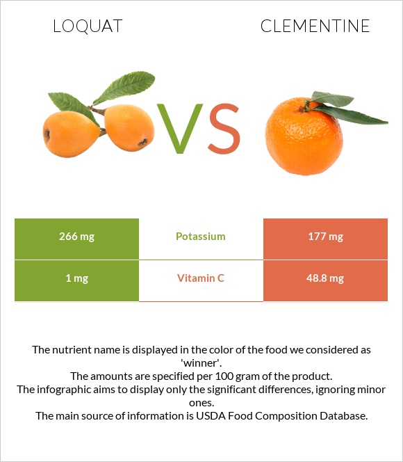 Loquat vs Clementine infographic