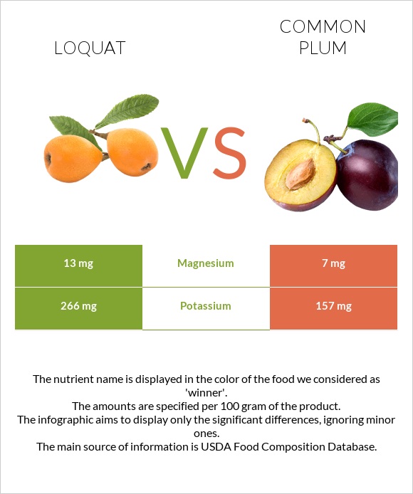 Loquat vs Plum infographic