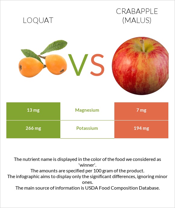 Loquat vs Կրաբապլներ (մալուս) infographic