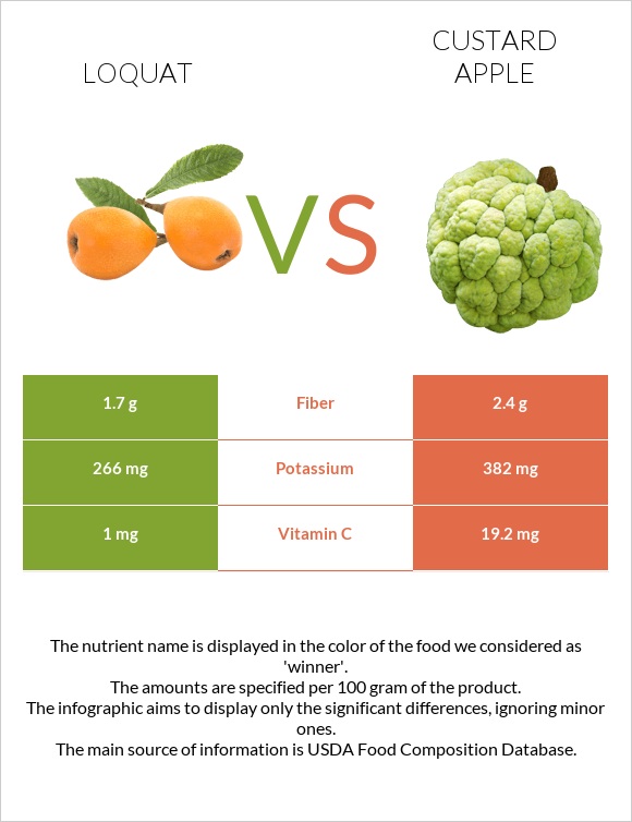 Loquat vs Custard apple infographic
