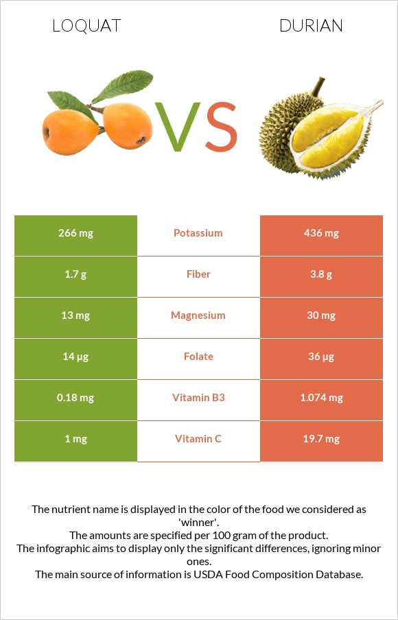 Loquat vs Durian infographic