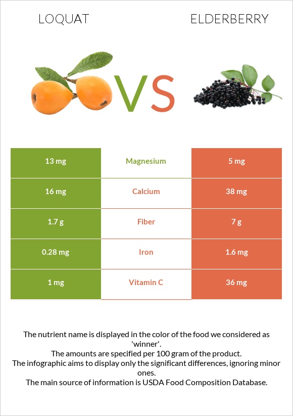 Loquat vs Elderberry infographic