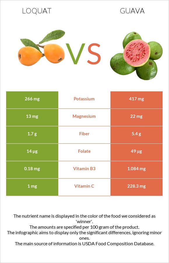 Loquat vs Guava infographic
