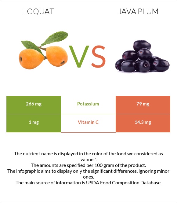 Loquat vs Java plum infographic