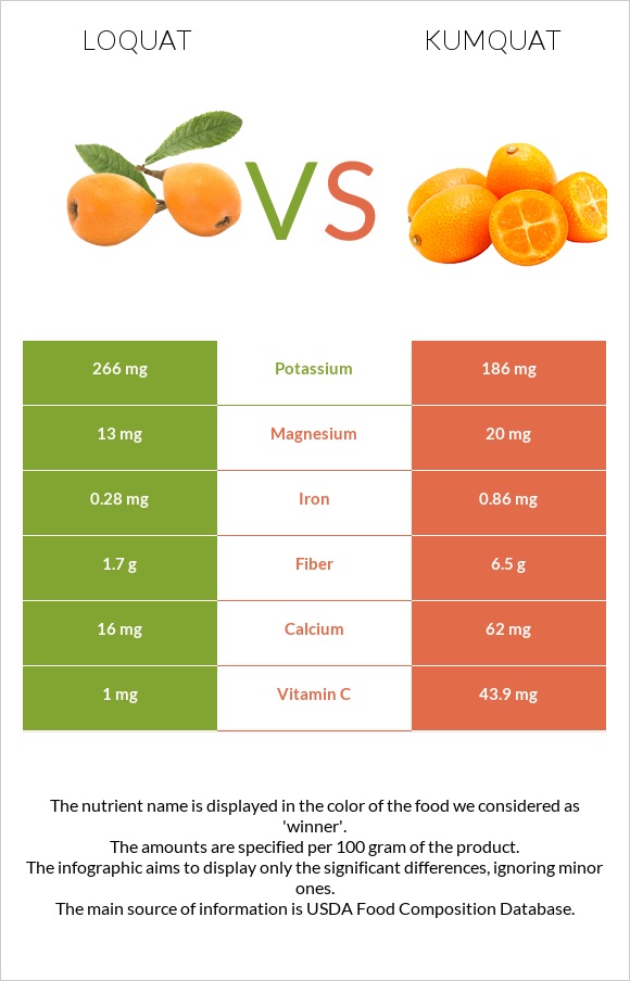 Loquat vs Kumquat infographic