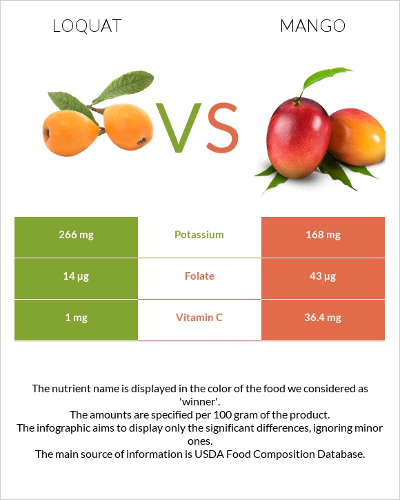 Loquat vs Mango infographic