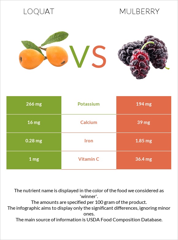 Loquat vs Mulberry infographic