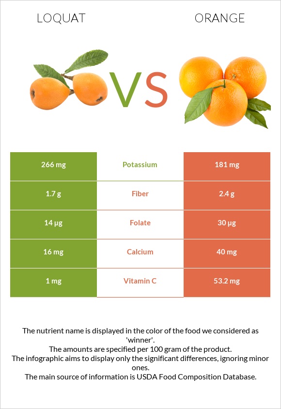 Loquat vs Orange infographic