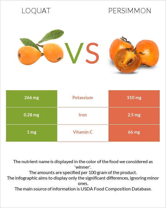 Loquat vs Persimmon infographic