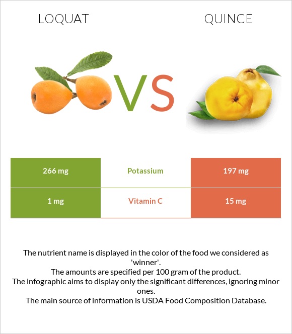 Loquat vs Quince infographic