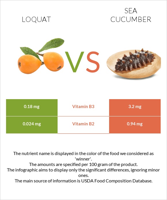 Loquat vs Sea cucumber infographic