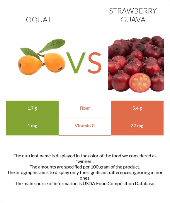 Loquat vs Ելակի գուավա infographic