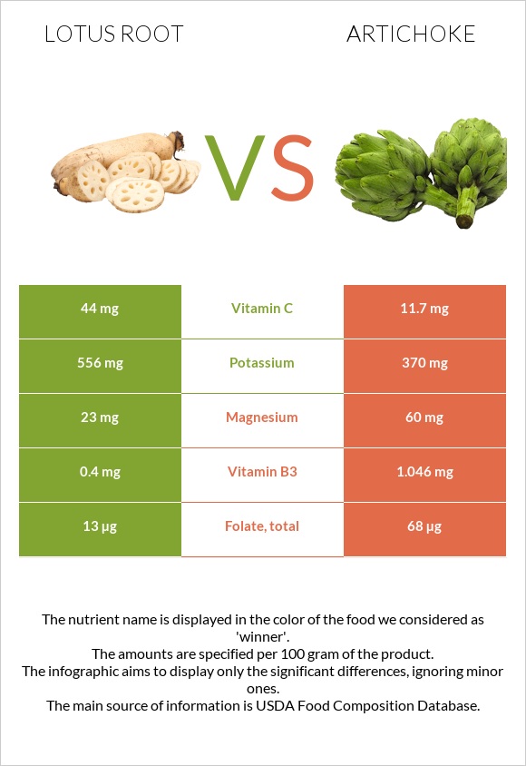 Լոտոս արմատ vs Կանկար infographic