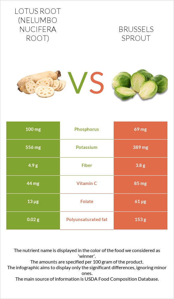 Lotus root vs Brussels sprout infographic