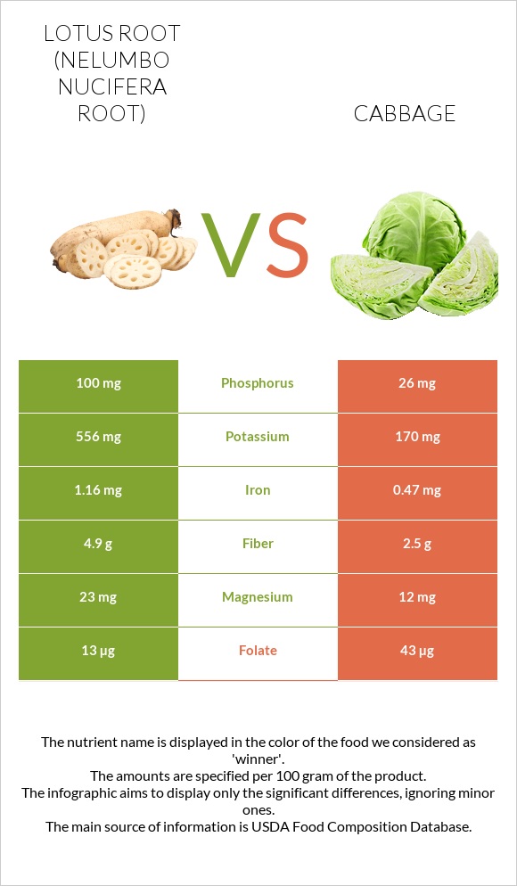 Lotus root vs Cabbage infographic