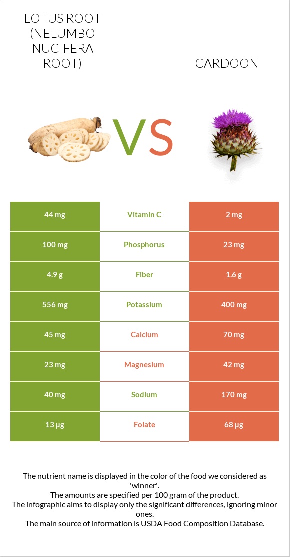 Lotus root vs Cardoon infographic