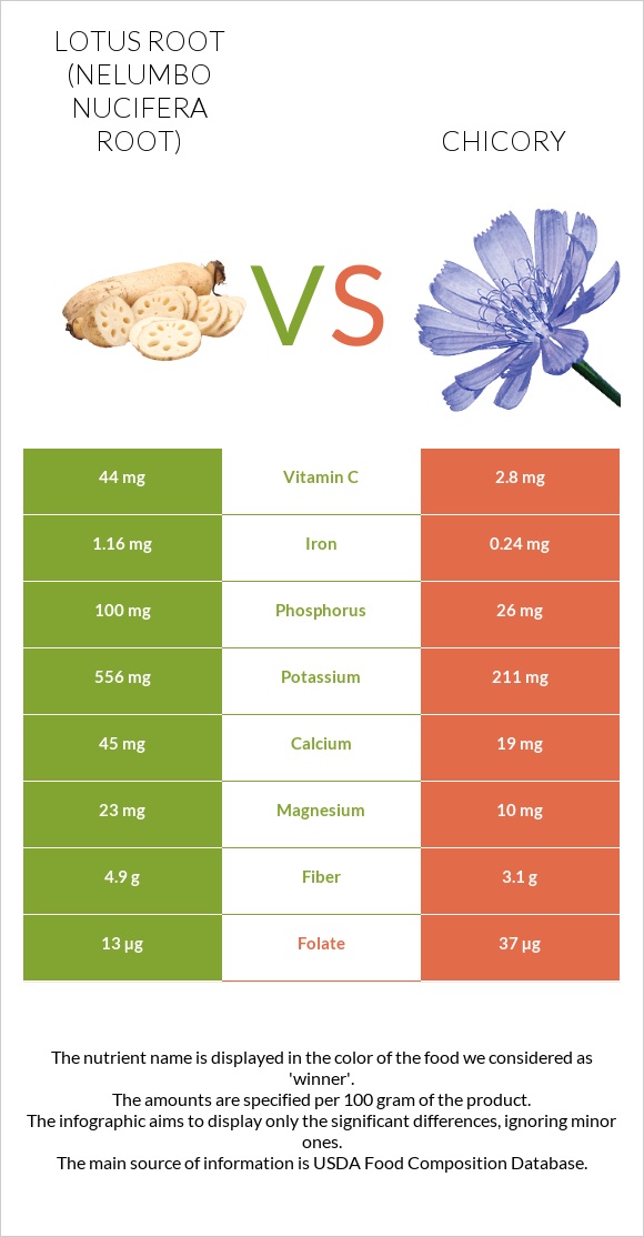 Lotus root vs Chicory infographic