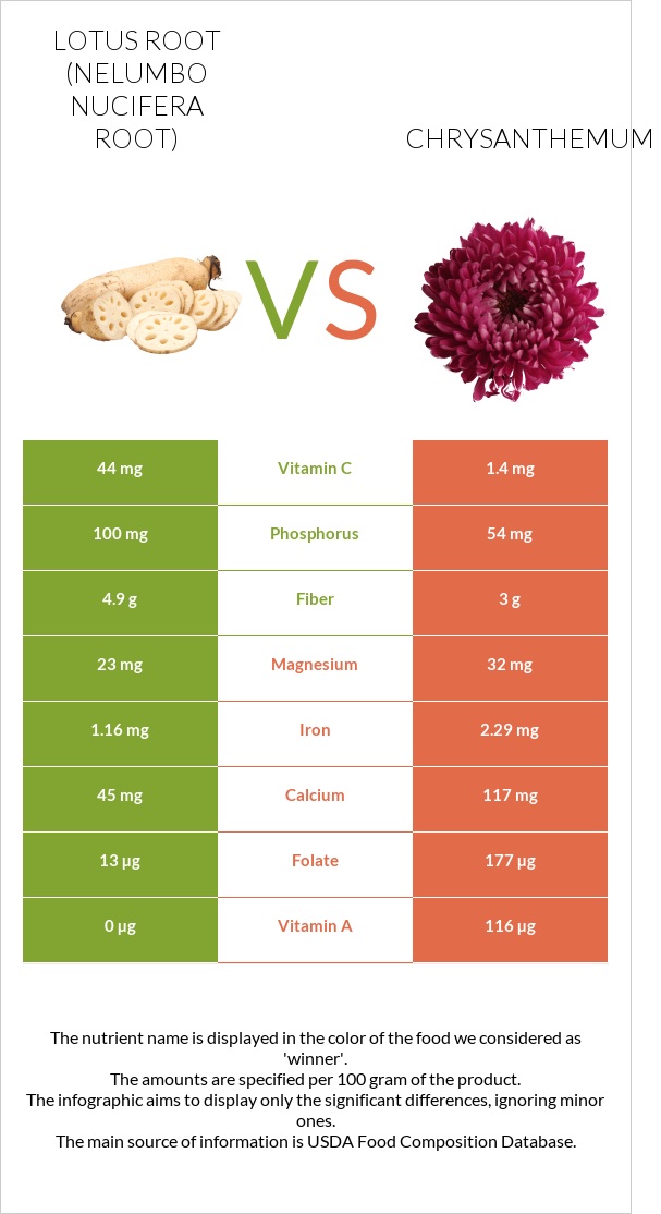 Lotus root vs Chrysanthemum infographic