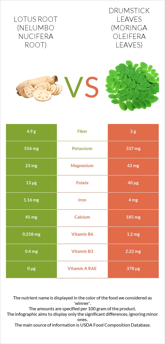 Lotus root vs Drumstick leaves infographic