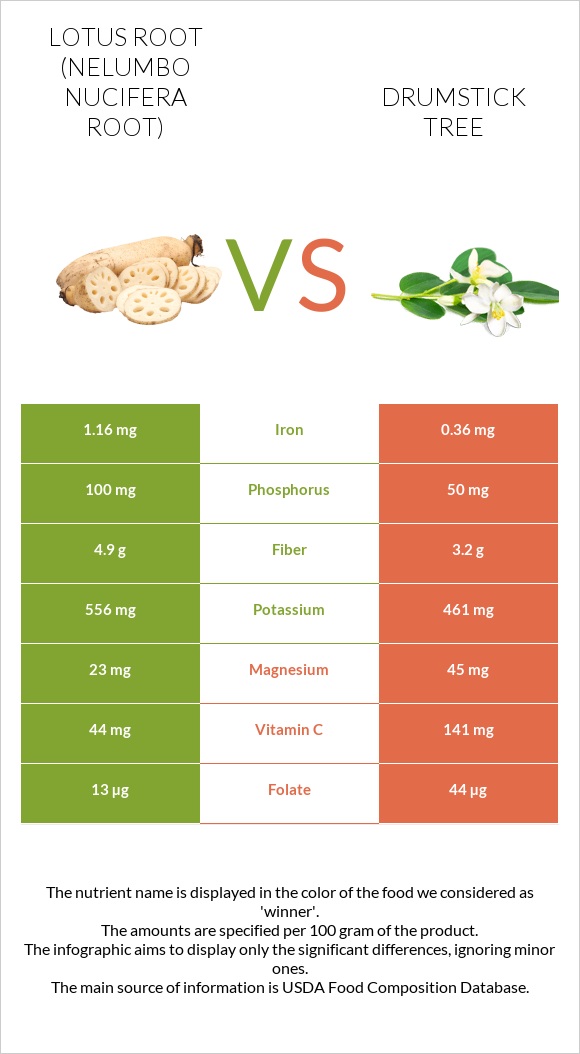 Lotus root vs Drumstick tree infographic