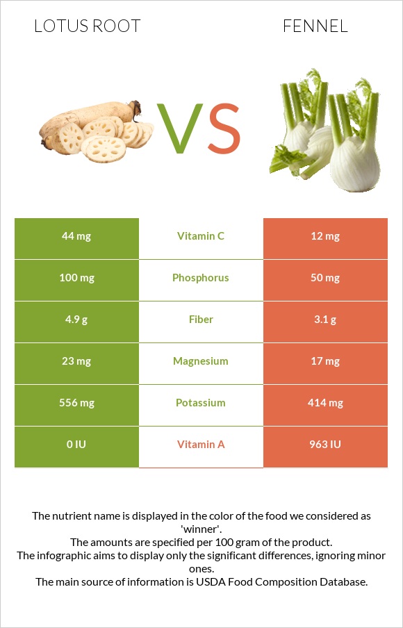 Lotus root vs Fennel infographic