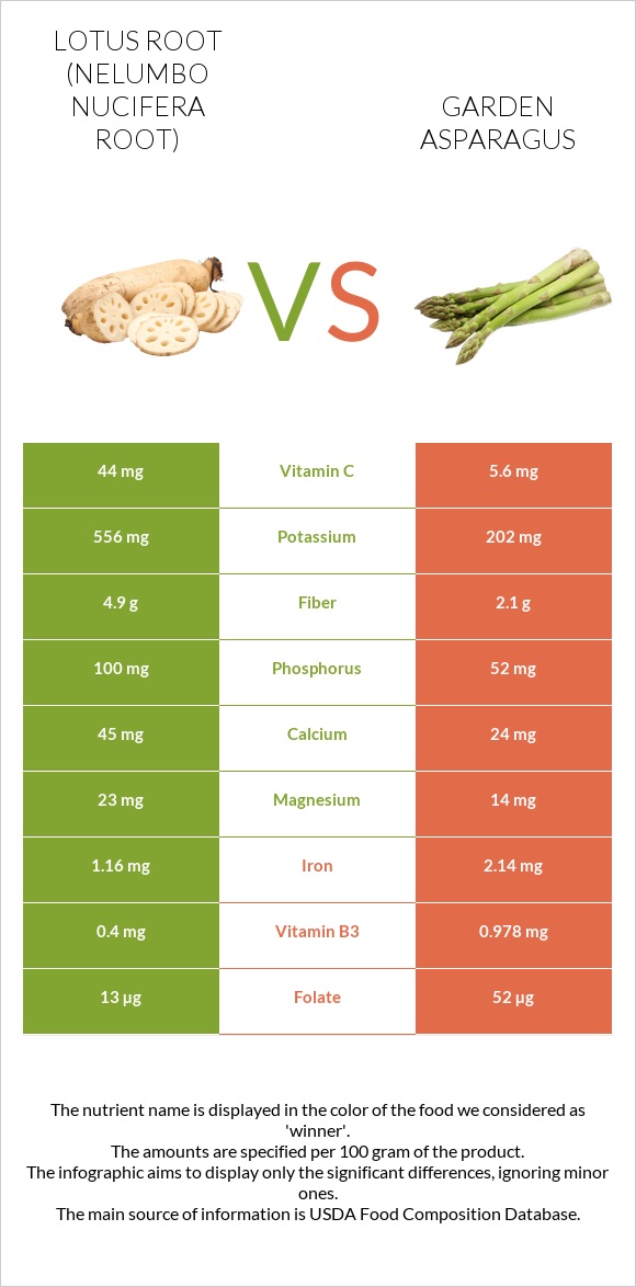 Lotus root vs Garden asparagus infographic